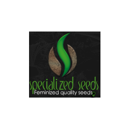 Moby Dick Limited - Specialized Seeds Moby Dick Limited - Specialized Seeds