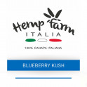 Hemp Farm- Blueberry Kush 1g.