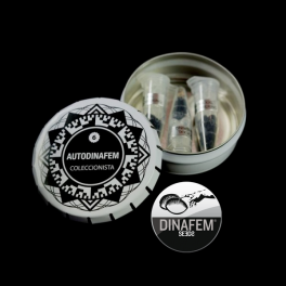 Dinafem Cookies Autoflowering Dinafem Cookies Autoflowering