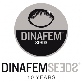 Dinafem Ocean Grown Cookies Dinafem Ocean Grown Cookies