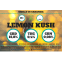 Lemon Kush- Fiori di Canapa 1 g