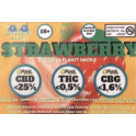 Strawberry - Fiori di Canapa 1g