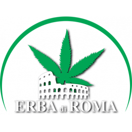 Sweetberry - Erba di Roma - 1 g. Sweetberry - Erba di Roma - 1 g.