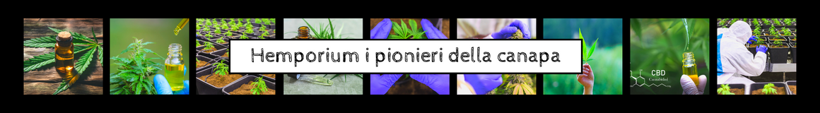 banner-01.jpg